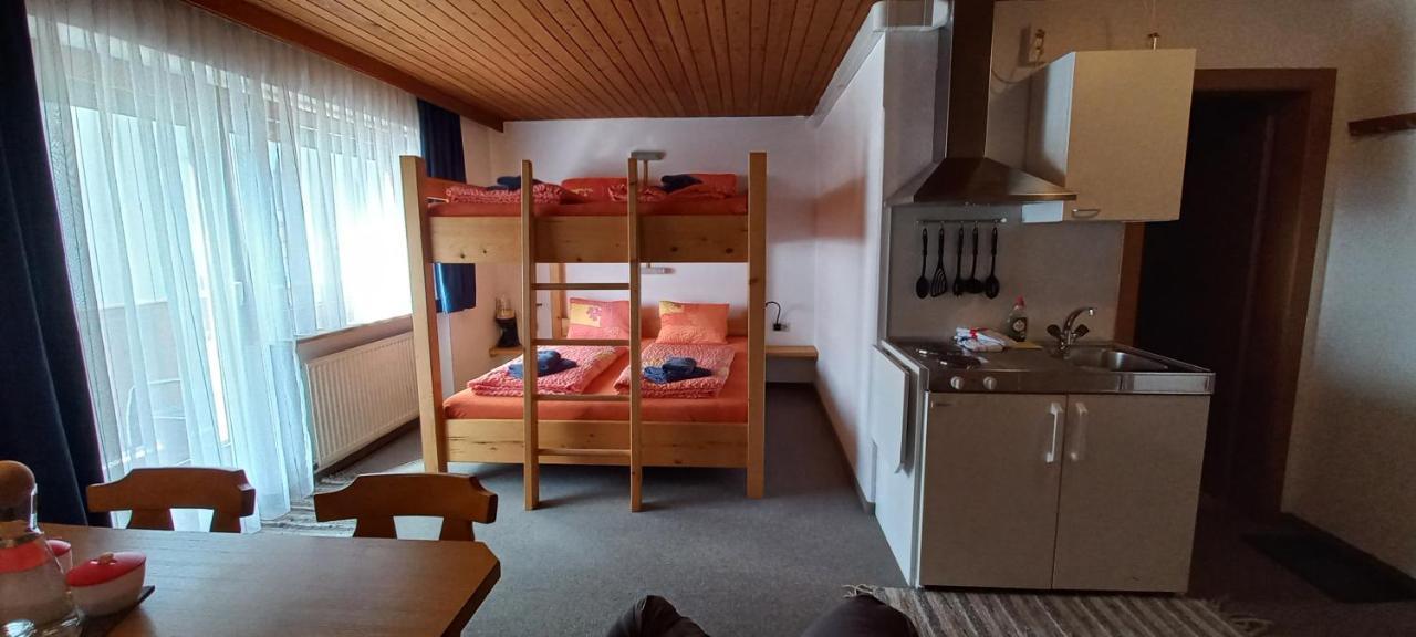 Apartmán Studio Hochzillertal Mit Sauna & E-Ladestation Ried im Zillertal Exteriér fotografie