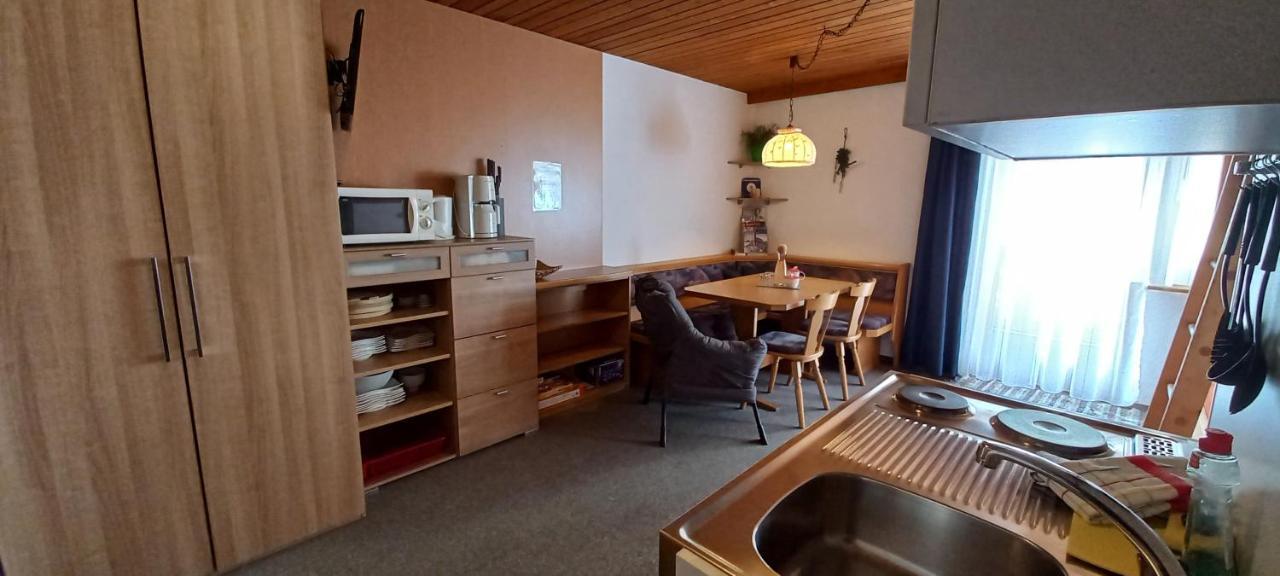 Apartmán Studio Hochzillertal Mit Sauna & E-Ladestation Ried im Zillertal Exteriér fotografie